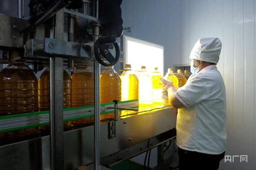 揚優勢補短板強弱項新疆糧油產業快速發展