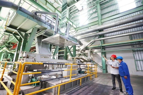 前5個(gè)月全市規(guī)上工業(yè)企業(yè)增加值同比增長17.4%，高新技術(shù)企業(yè)表現(xiàn)亮眼